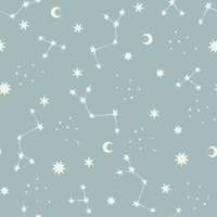Night Sky Pale Green behang