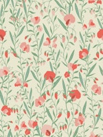 Sweet Pea Flowers Offwhite Green tapeta