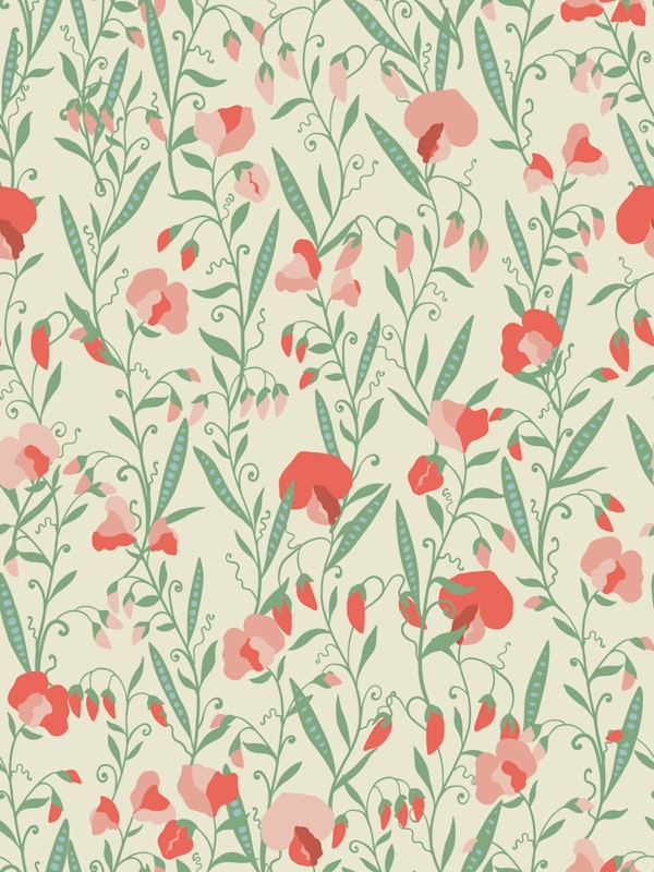 Sweet Pea Flowers Offwhite Green