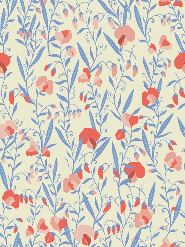 Sweet Pea Flowers Offwhite Blue