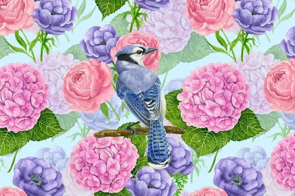 Blue jay and flowers