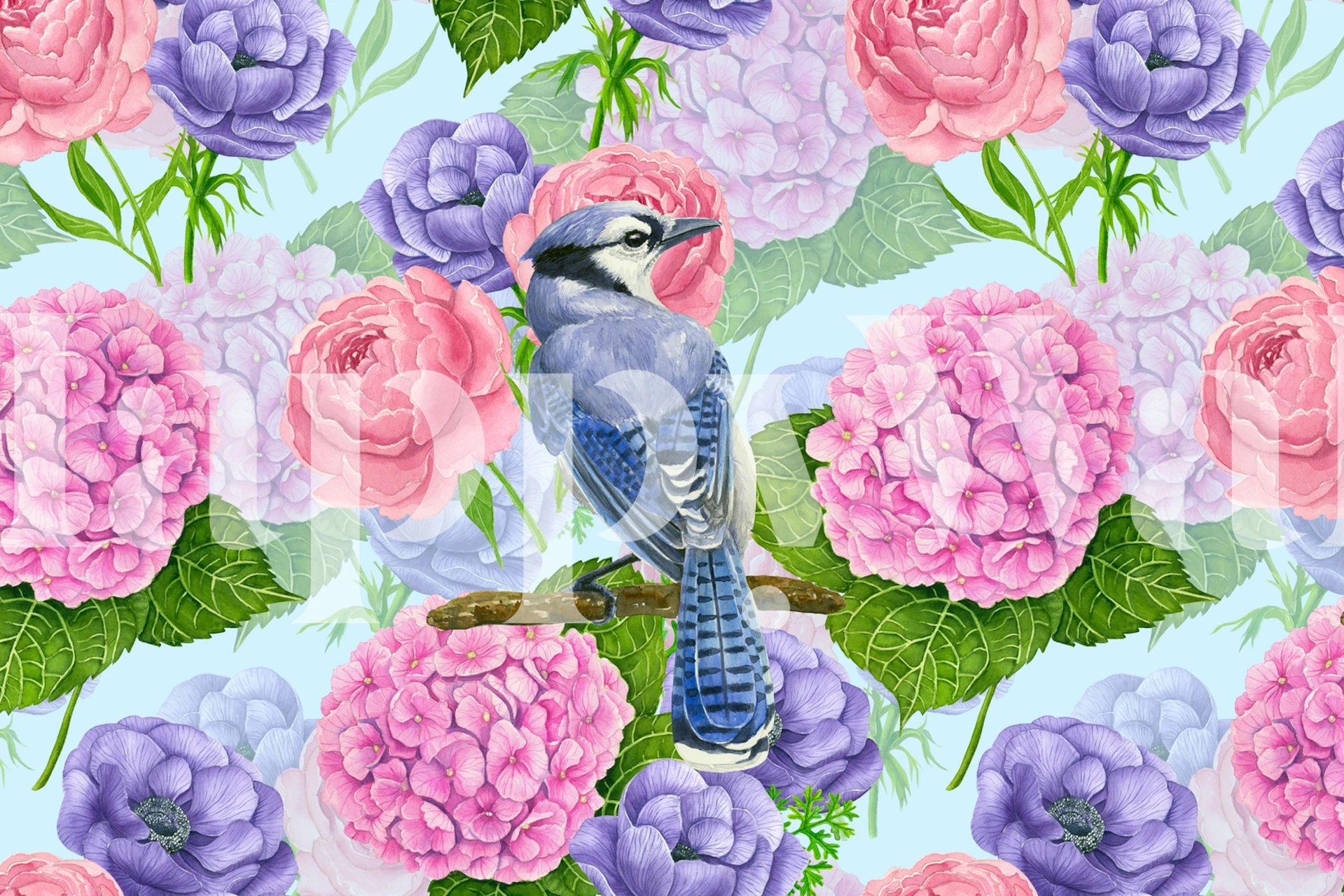 Blue jay perched on flowers with pink and purple blooms wallpaper