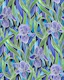 Iridescent Irises