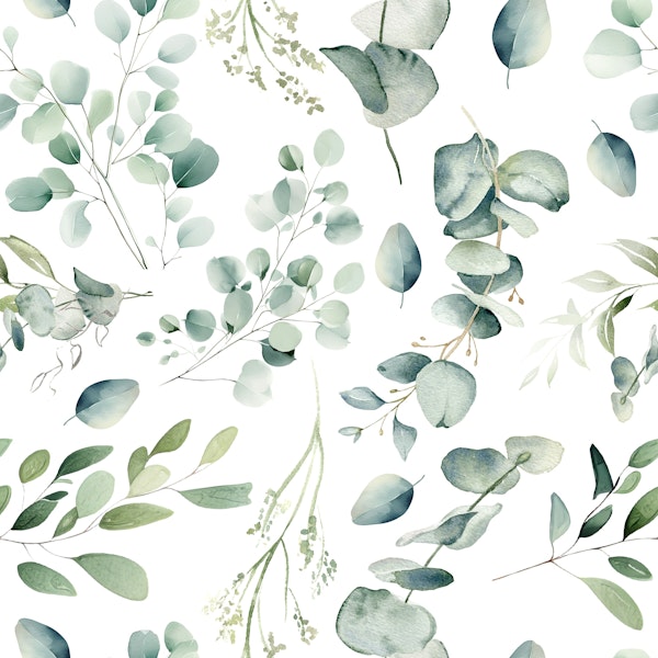 Eucalyptous leaves on white simple