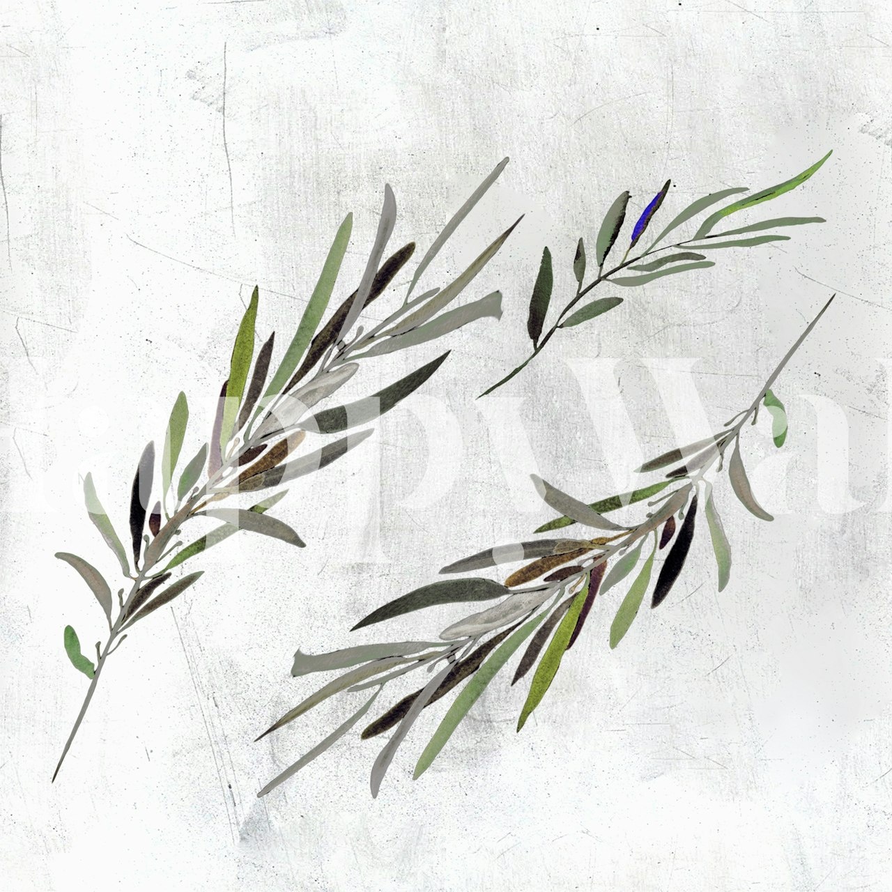 Eucalyptus leaves wallpaper in a room