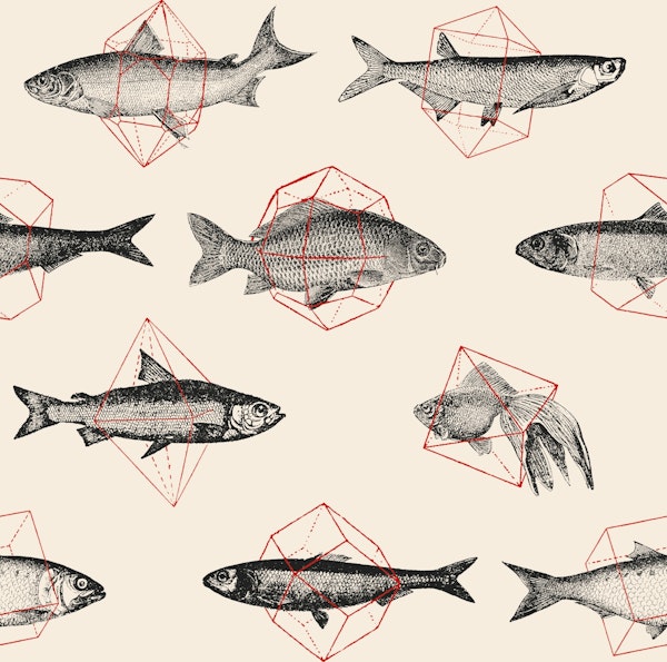 Fishes in Geometrics