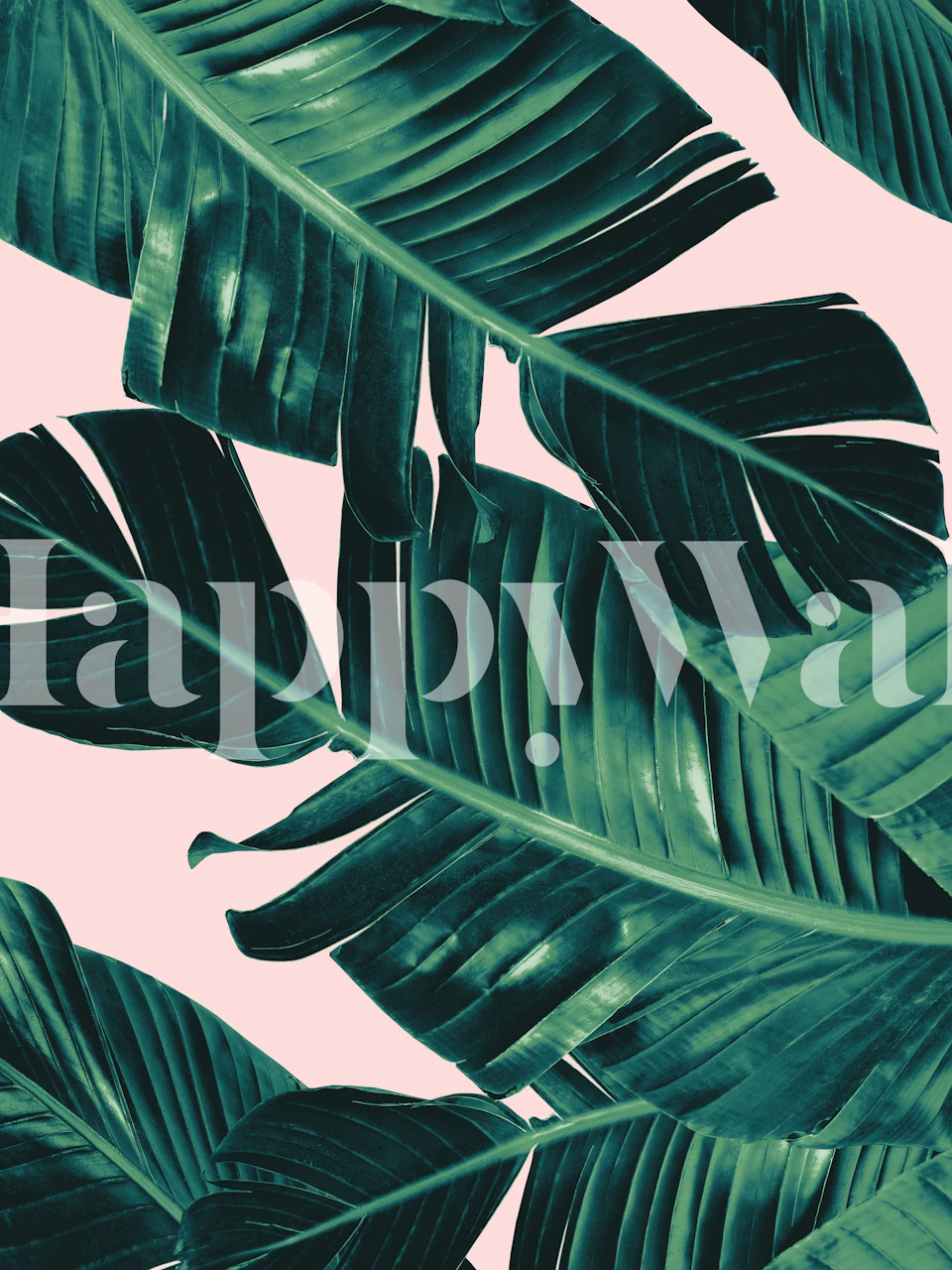Tropical Blush Banana Leaves tapet i et rom