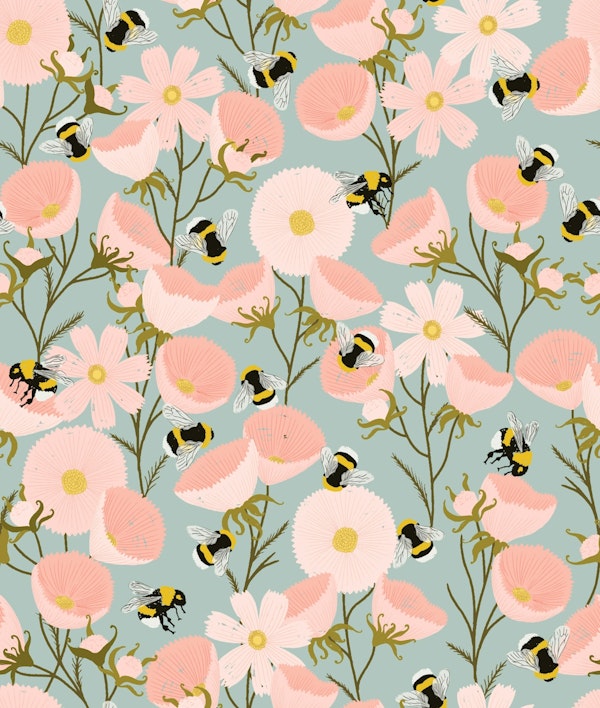 Bumblebees and Cosmos Flowers