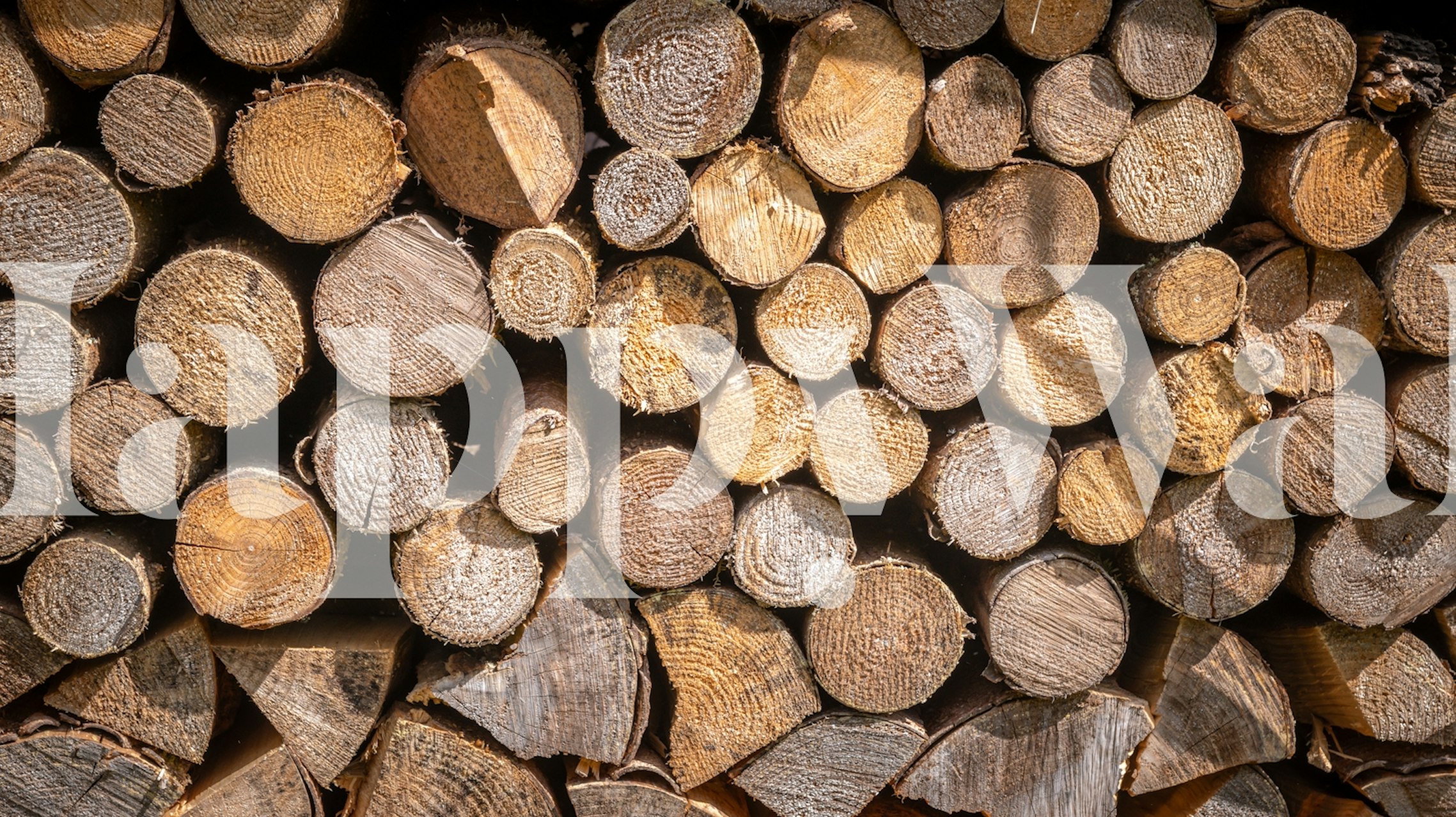 A wall mural of neatly stacked cut logs representing a Spring woodpile