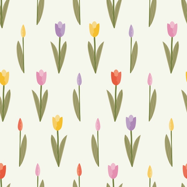 Cute Little Colorful Tulips
