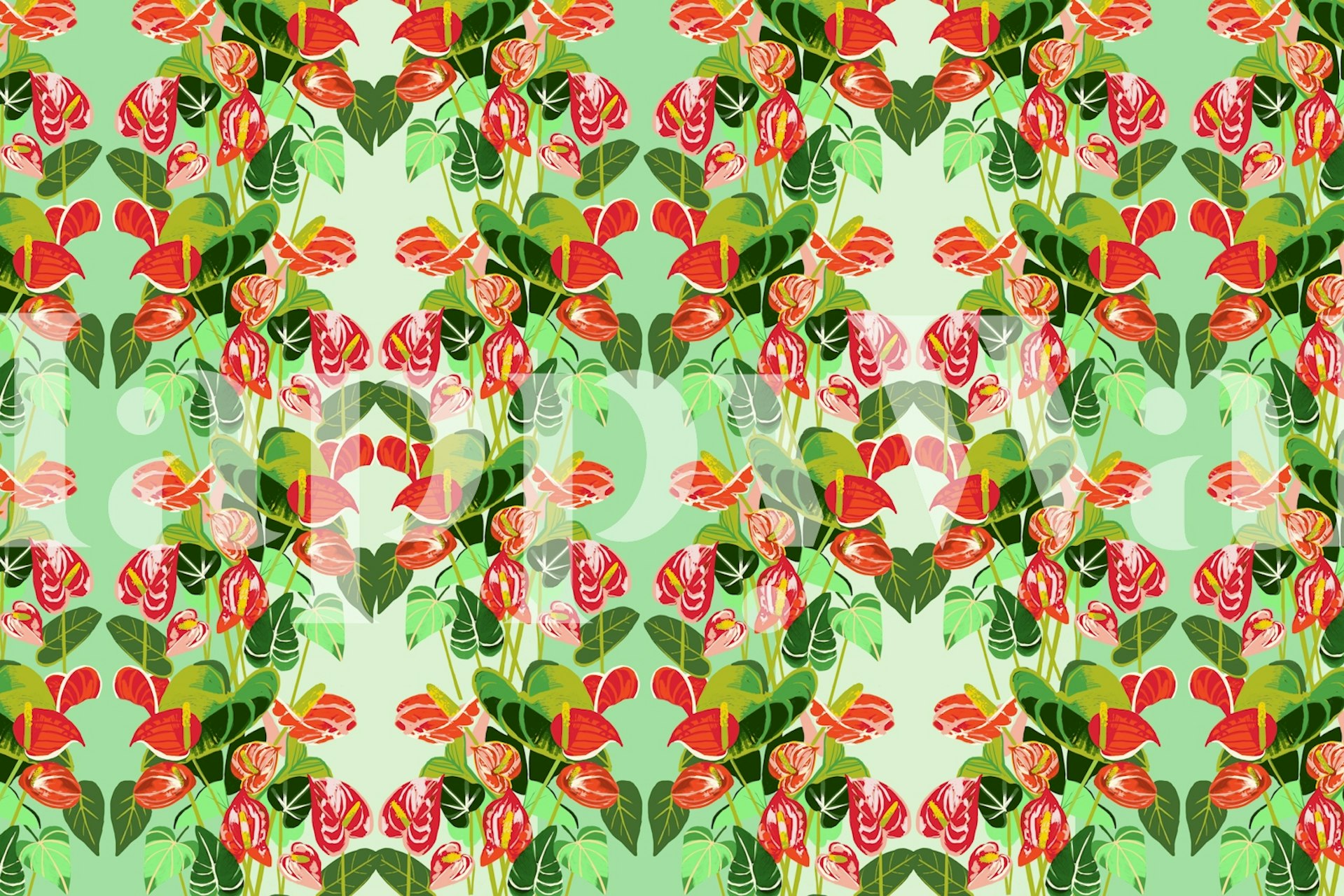 Flamingo flowers in vibrant colors on green background wallpaper