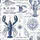 Maritime Treasures And Nautical Vibes