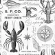 Maritime Treasures Nautical Vibes Greyscale