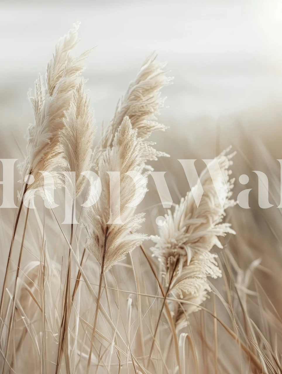 Pampas grass by the sea behang in een kamer
