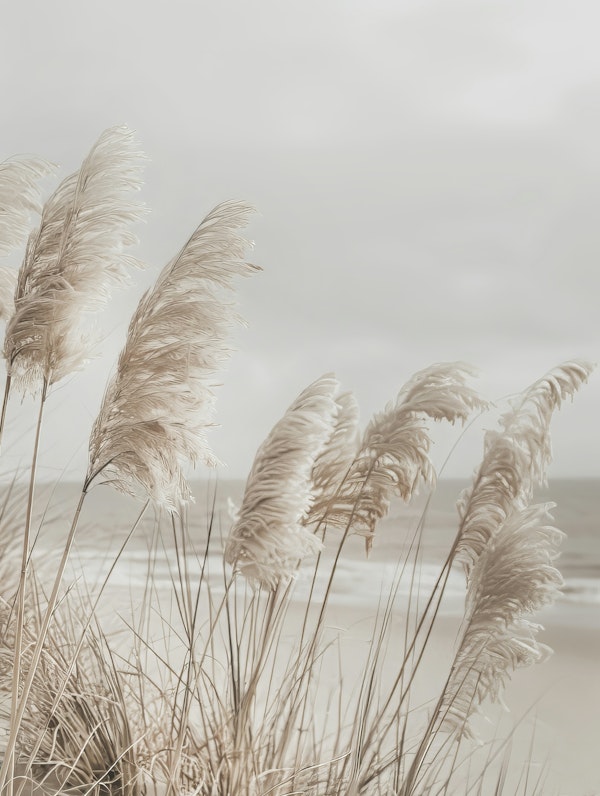 Pampas grass at the beach