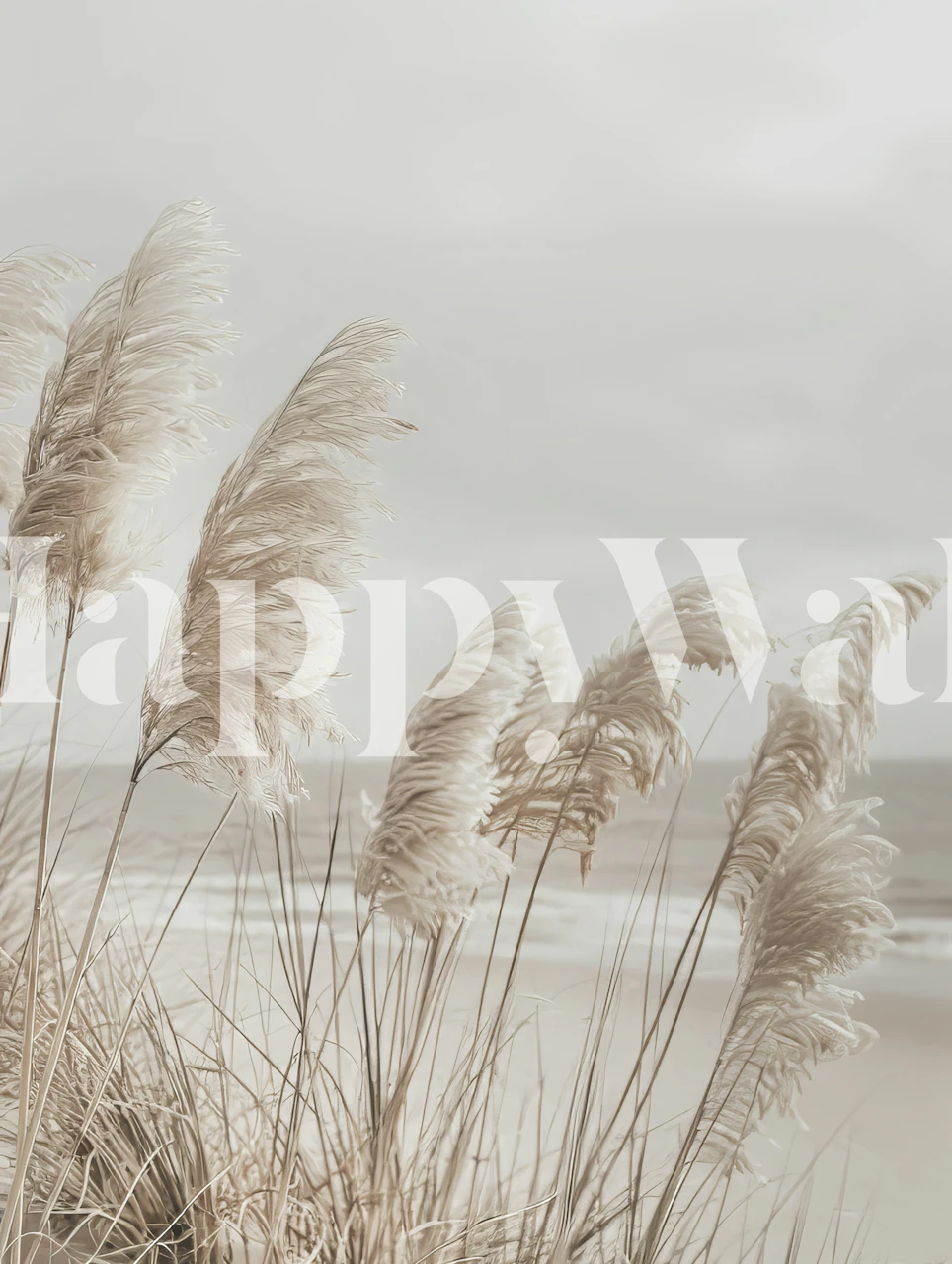 Pampas grass by the beach in neutral tones wall mural