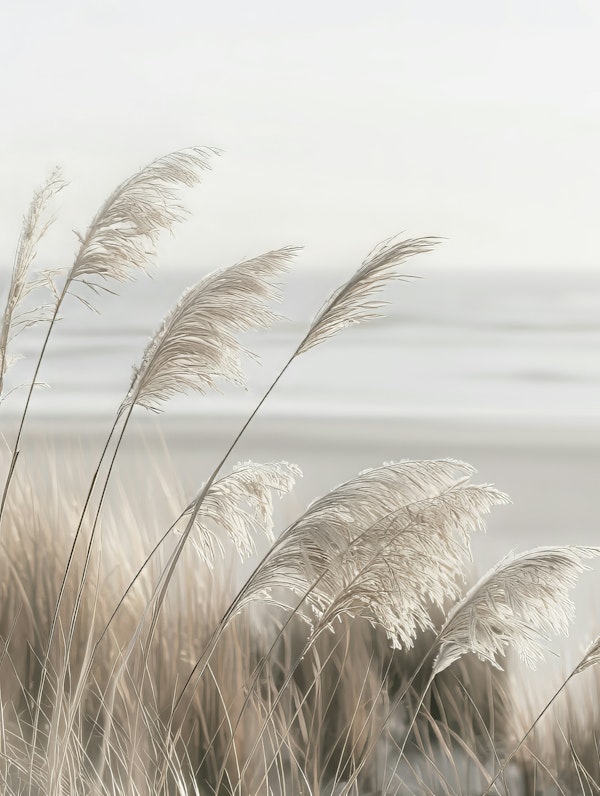 Pampas grass at the coast