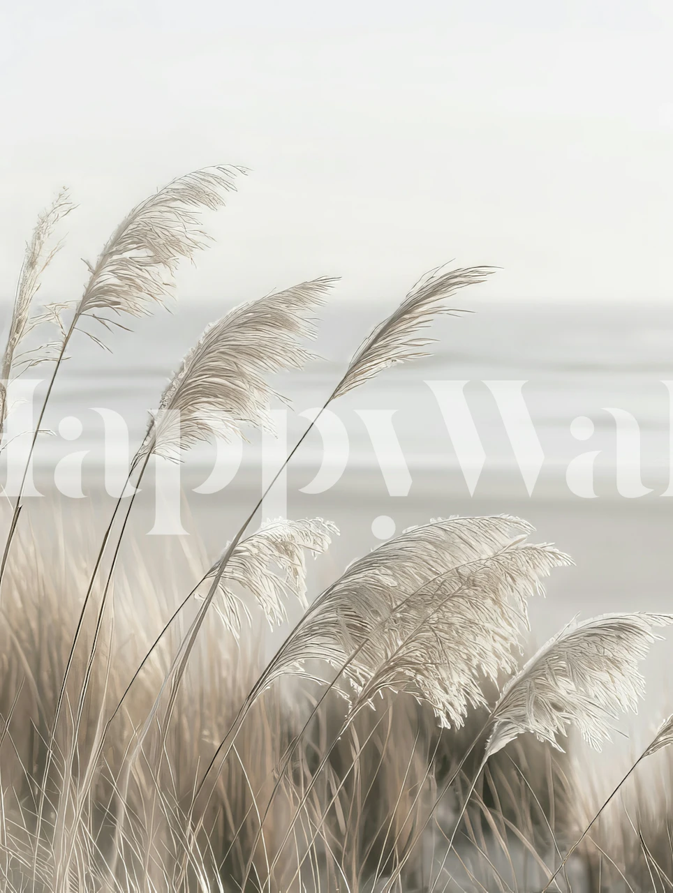 Elegant pampas grass on a tranquil coastal background wall mural