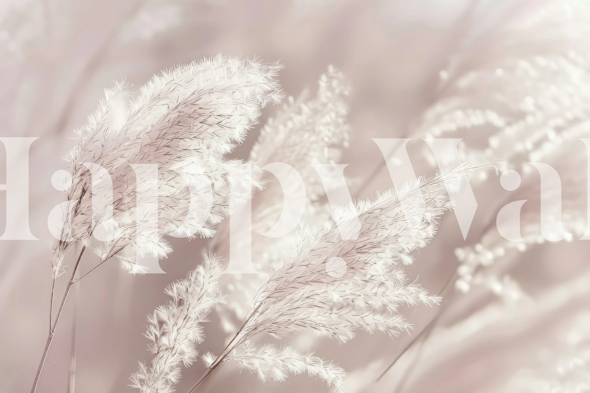 Pampasgras in sanften, hellen Farbtönen auf Tapete