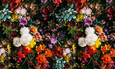 Τοιχογραφία