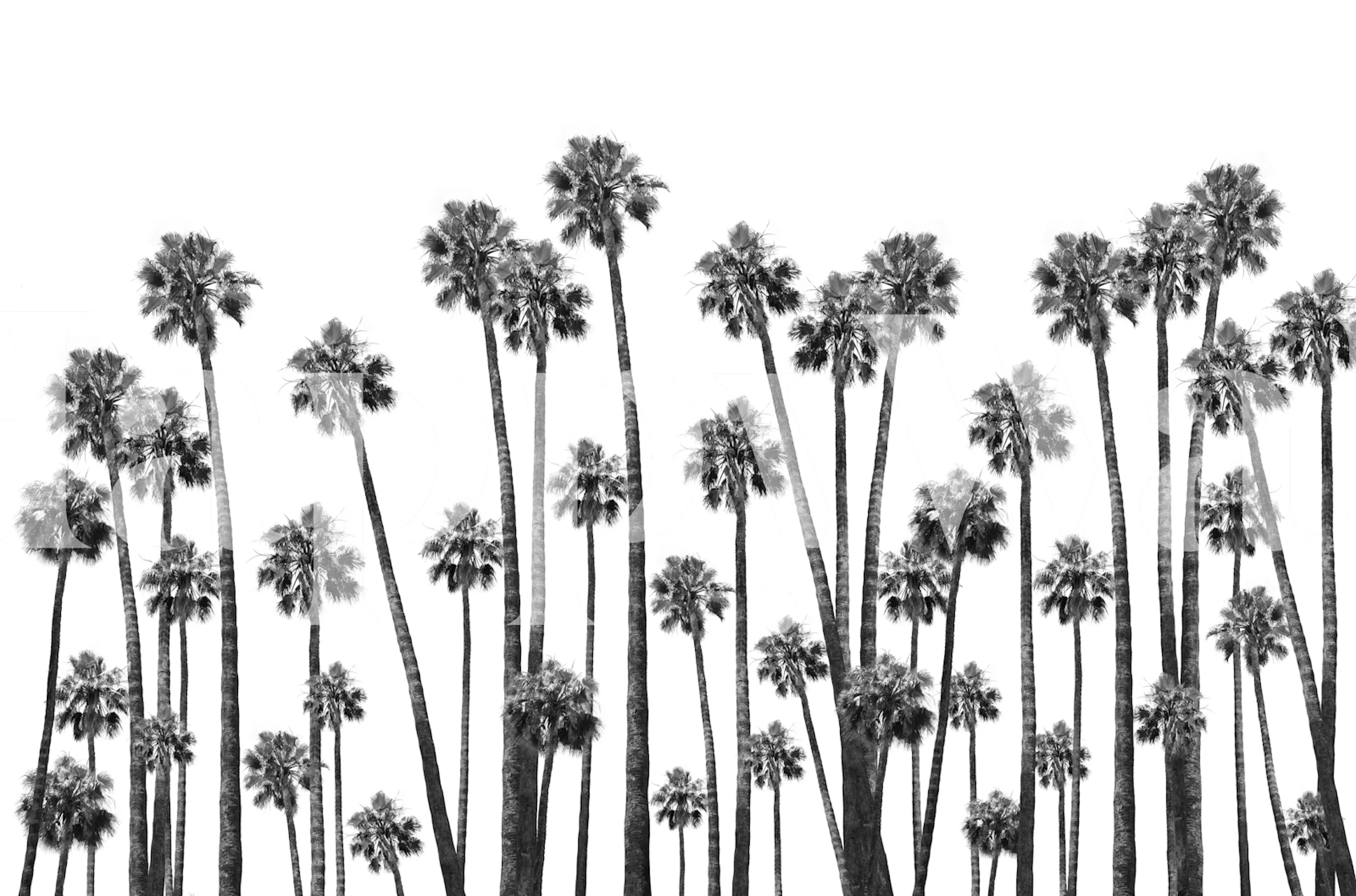 Tropical Palms Jungle Vibe 1 tyylikkäässä huoneessa