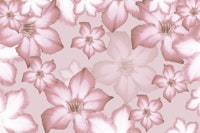 Desert Rose Flower Dream 2 tapete