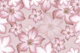 Desert Rose Flower Dream 2