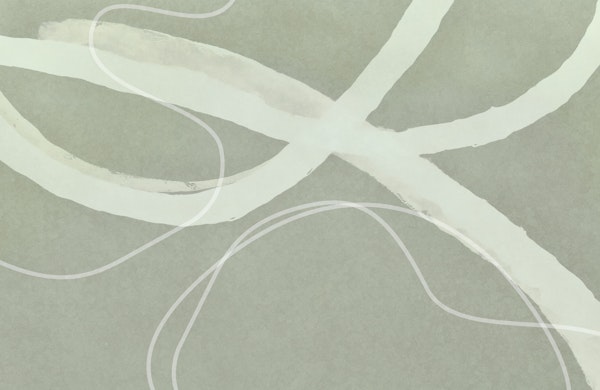 Abstract Minimalism Line Work Sage Green