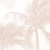 Summer Paradise Palms 7 - Soft Beige carta da parati