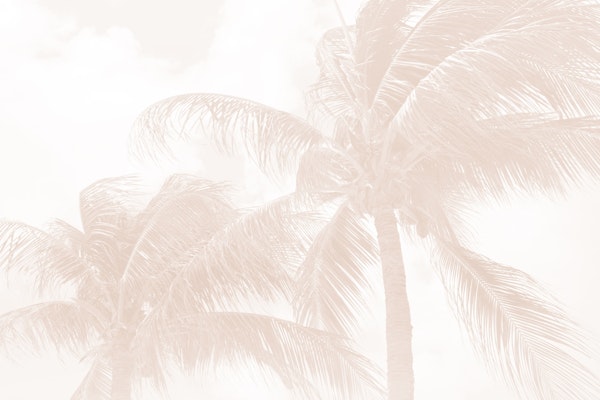 Summer Paradise Palms 7 - Soft Beige