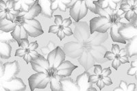 Desert Rose Flower Dream 3 tapete