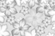 Desert Rose Flower Dream 3
