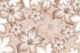 Desert Rose Flower Dream 4