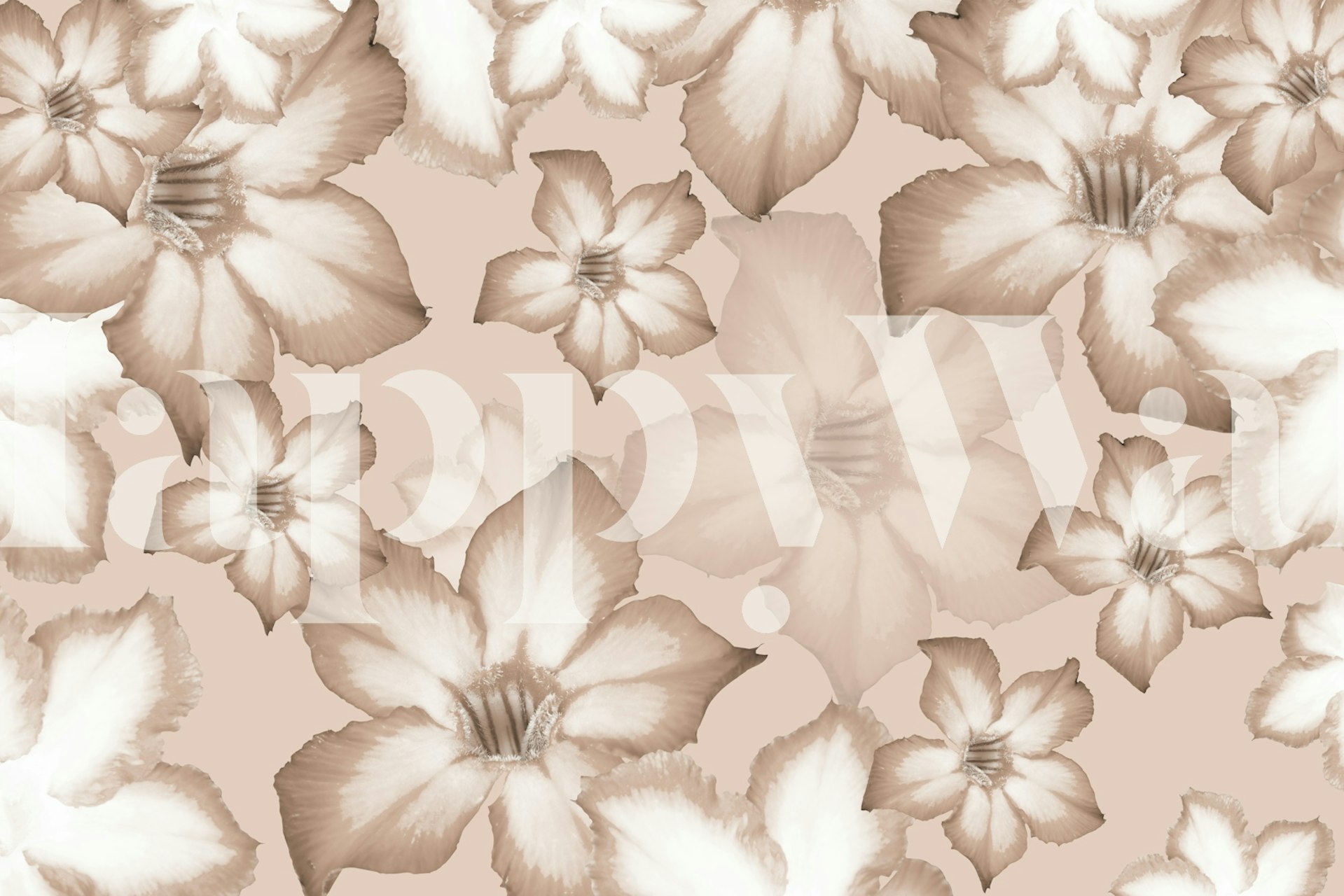 Blush pink floral wallpaper with various flower designs