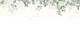 Eucalyptus leaves and glitter splendid roof