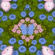 Butterflies and flowers symmetry