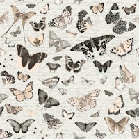 Nostalgic Collection Of Butterflies papiers peint