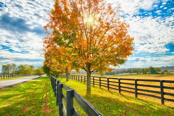 Beautiful autumn country landscape