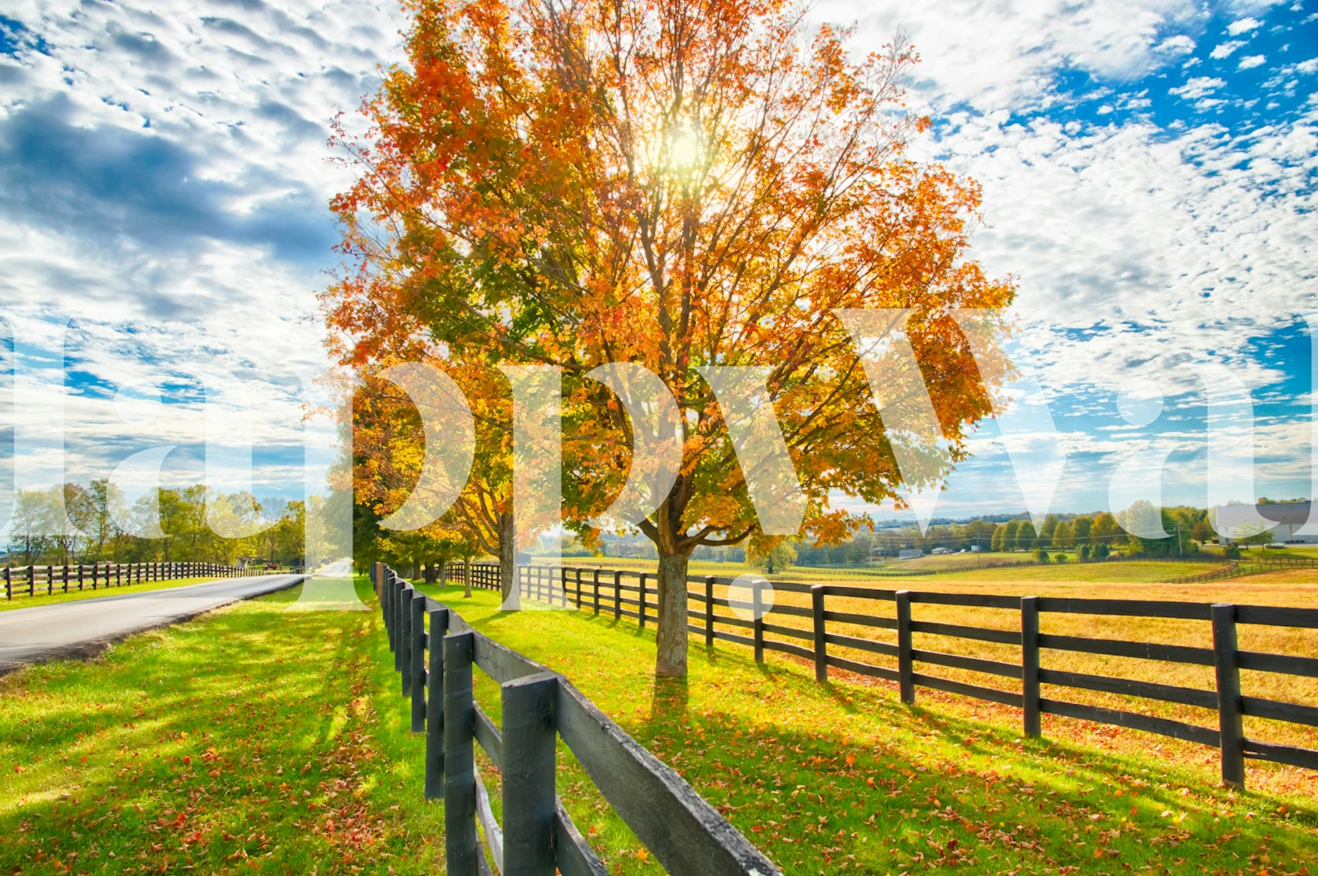 Beautiful autumn country landscape wallpaper