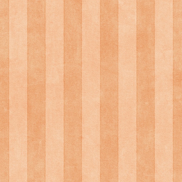 STRIPES - 004 - peach