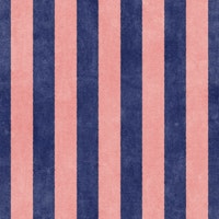 STRIPES - 005 - navy blue and pink ταπετσαρία