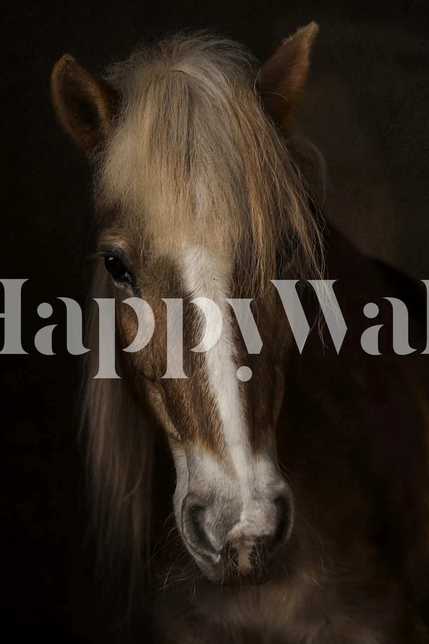 Brown horse close-up with long mane wallpaper