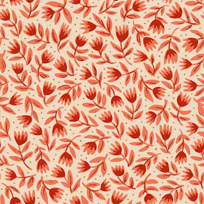 Modello