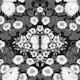 Butterflies and flowers symmetry monochrome