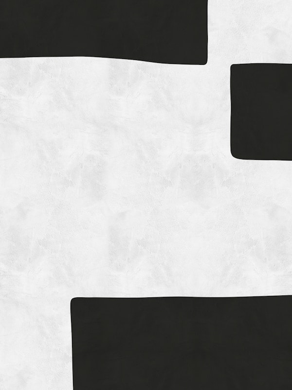 Expressionist modernity 4