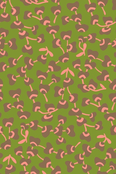 Pattern