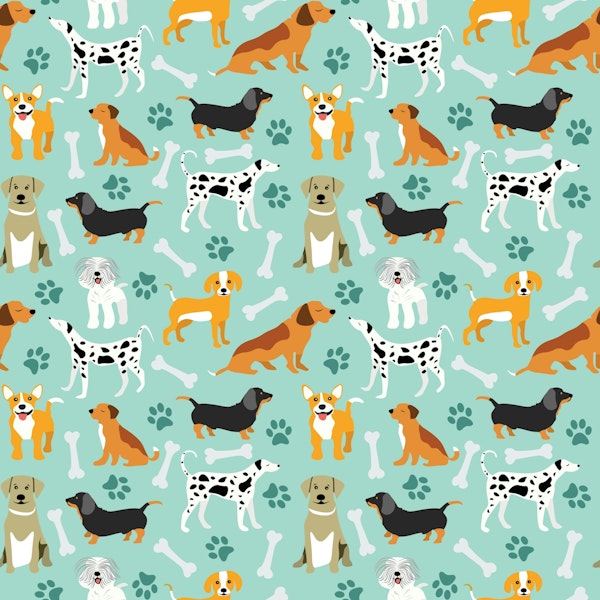 Cute Dog Breeds and Bones - light blue