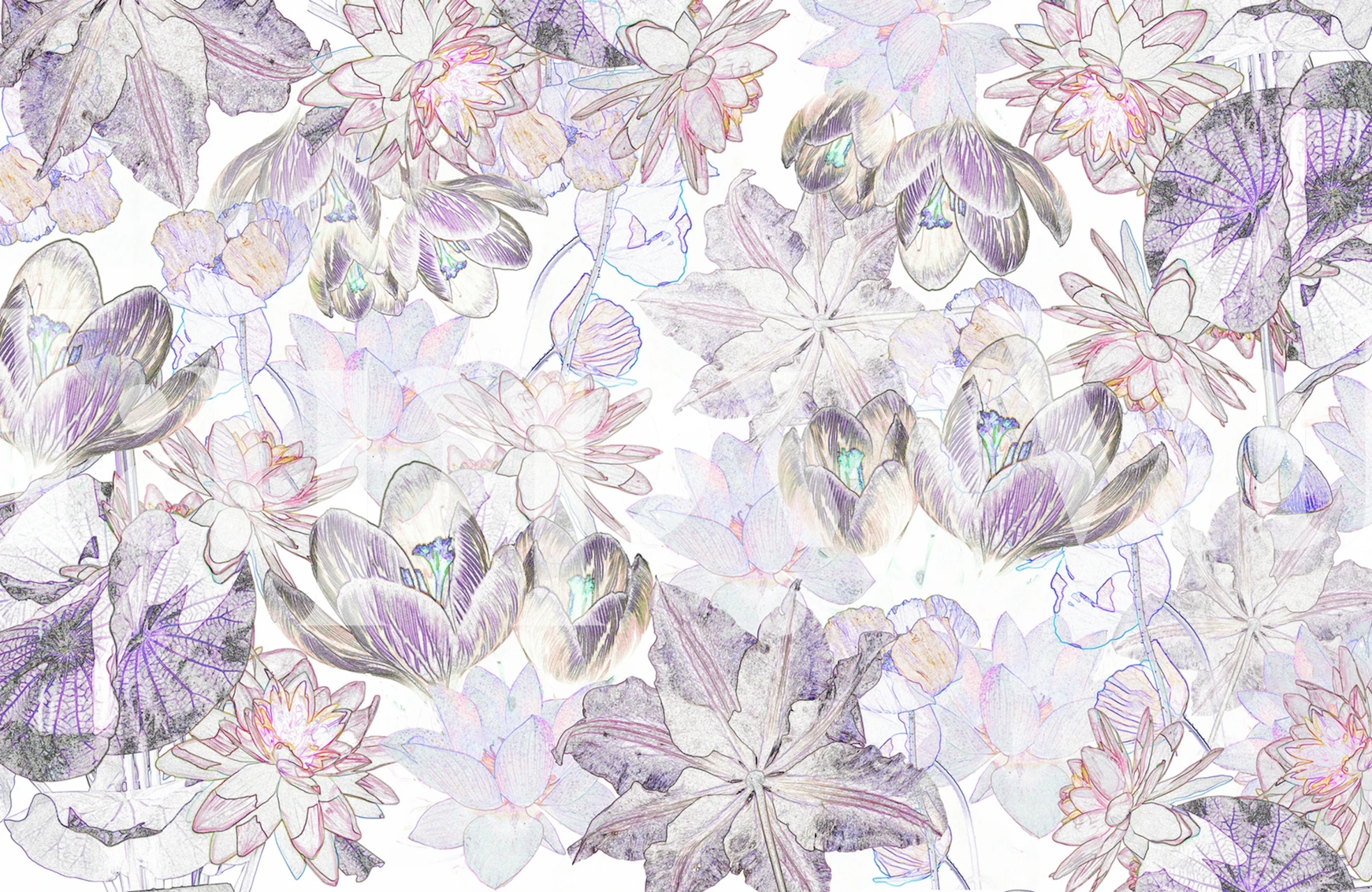 Afbeelding van X-ray line art flowers behang - een elegant lijnkunst bloempatroon