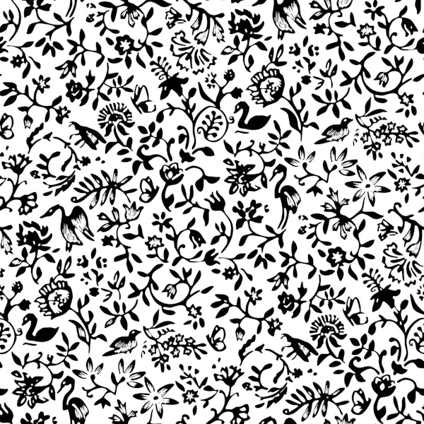 Black and white nature print