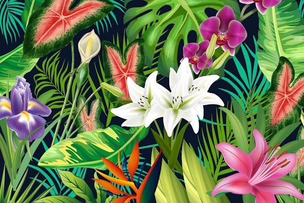 Tropical Lush Sanctuary